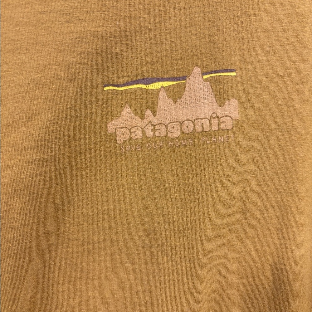 Patagonia Tan Mountain Tee